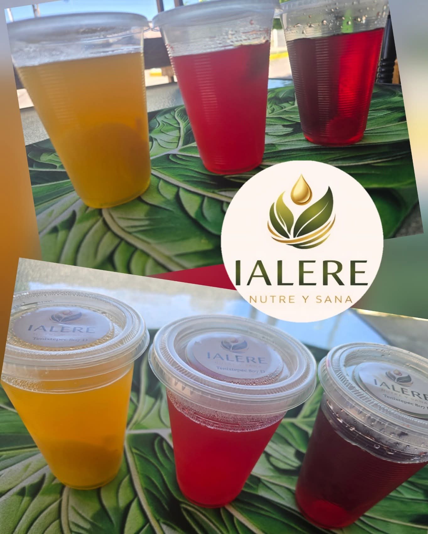 🍓 GELATINA SIN AZÚCAR con GRENETINA y FRUTA NATURAL 🥭🍒